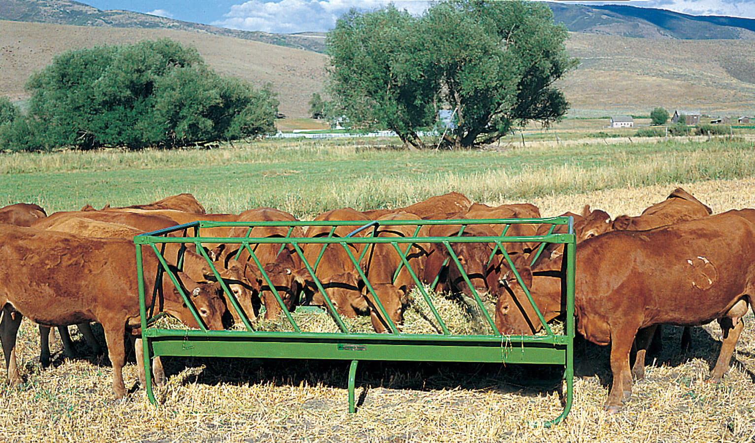 Powder River Rack Feeder Murrays Dairy Farm Refrigeration Inc